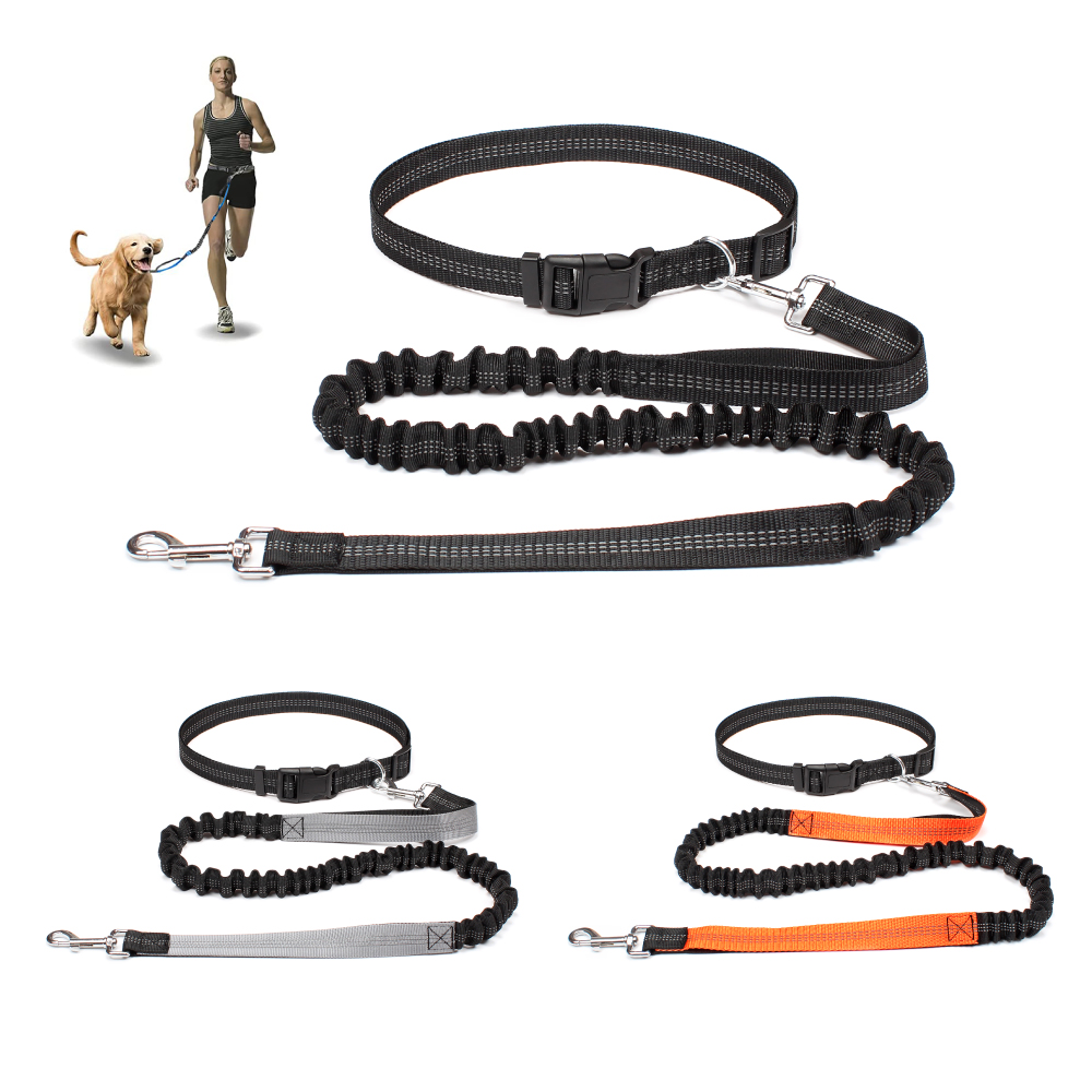 Running Gear Organizer - Tali Anjing Bebas Tangan untuk Mengajak