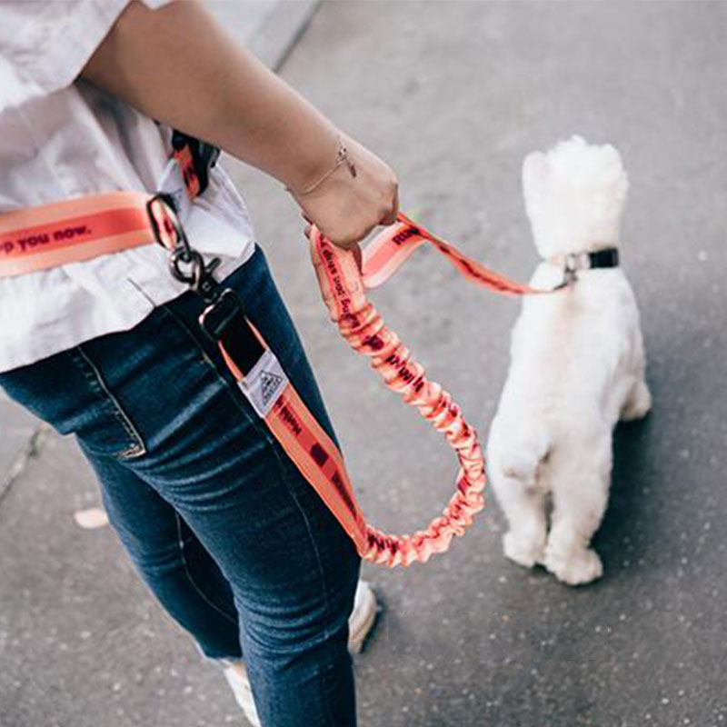 Running Gear Organizer - Tali Anjing Bebas Genggam Dapat Disesuaikan