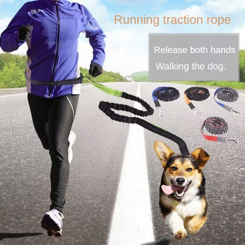 Running Gear Organizer - Tali Anjing Bebas Genggam untuk Jalan-jalan,