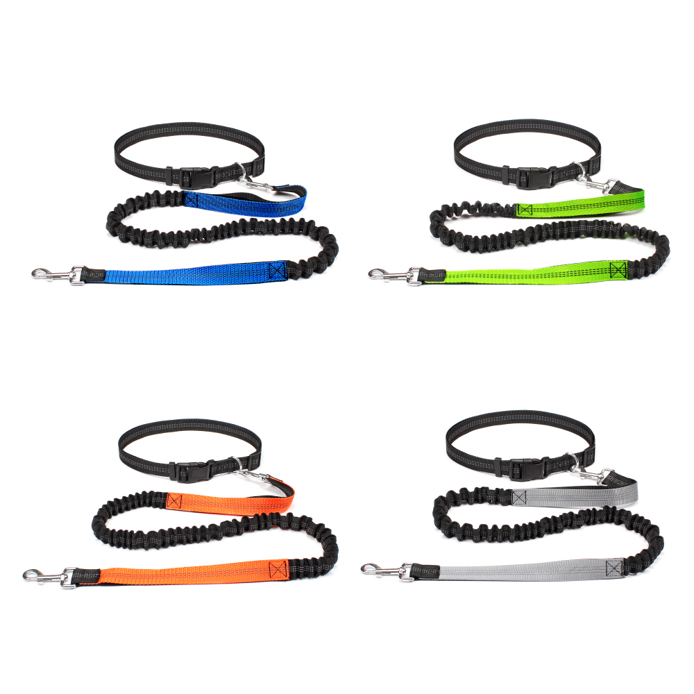Tali Anjing Bebas Tangan untuk - Running Gear Organizer ulasan dan harga