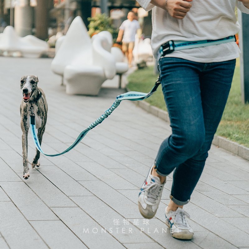 Tali Anjing Bebas Genggam Dapa - Running Gear Organizer ulasan dan harga