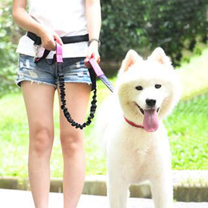 Tali Anjing Bebas Genggam Dapa - Running Gear Organizer ulasan dan harga