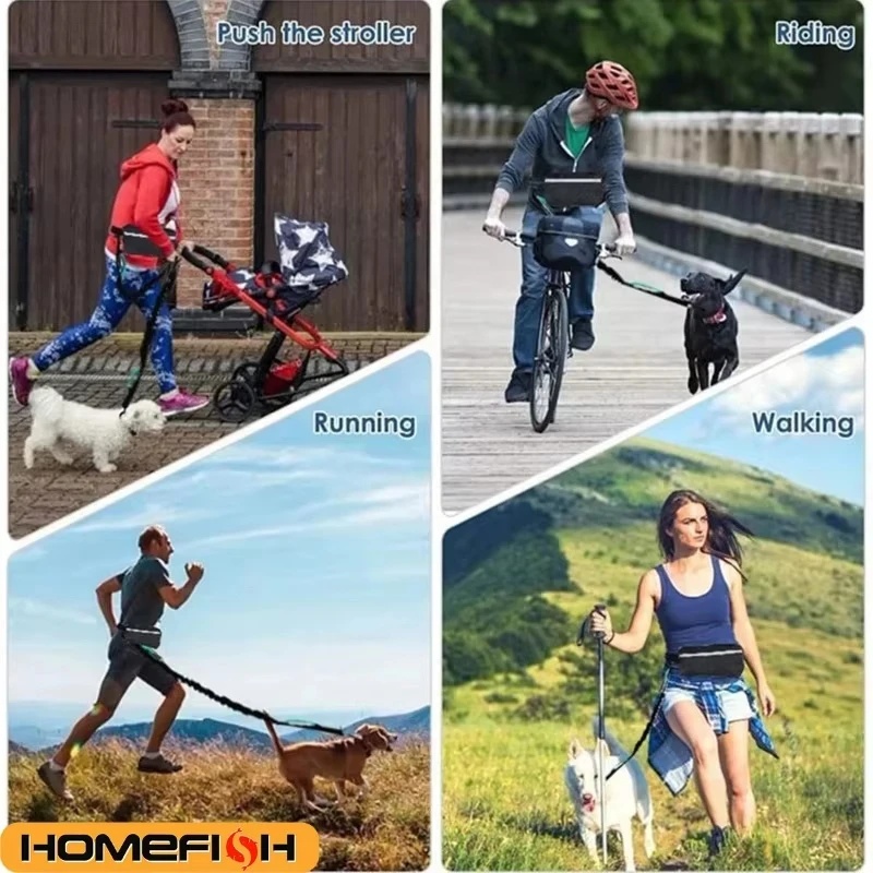 Tali Anjing Reflektif Tanpa Pe - Running Gear Organizer ulasan dan harga