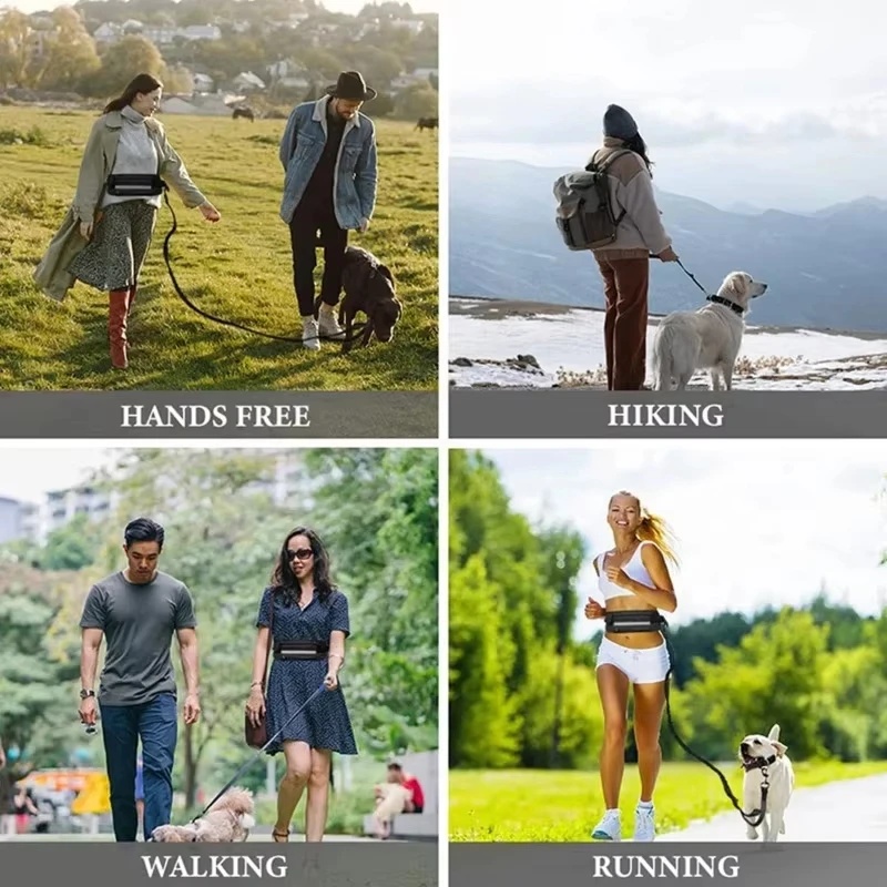 Tali Anjing Reflektif Tanpa Pe - Running Gear Organizer ulasan dan harga