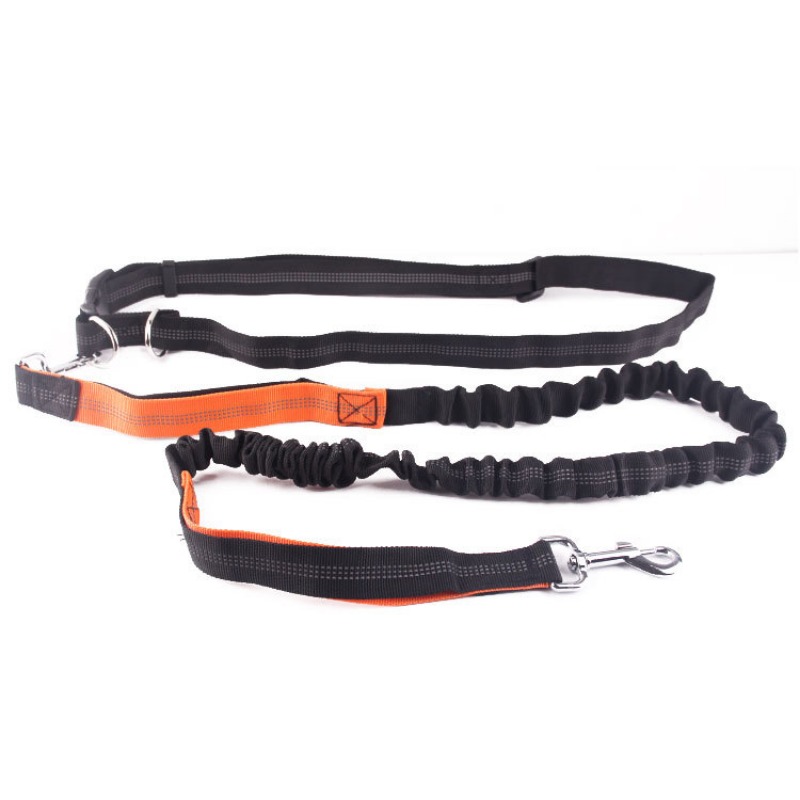 Tali Anjing Bebas Genggam untu - Running Gear Organizer ulasan dan harga
