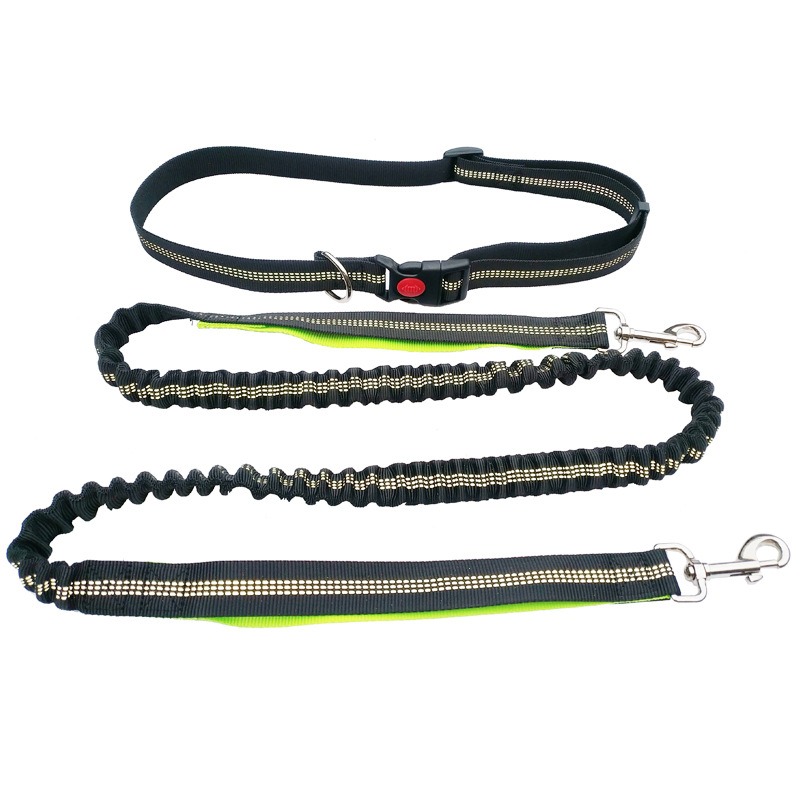 Tali Anjing Bebas Genggam untu - Running Gear Organizer ulasan dan harga